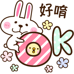 兔寶妹♡長文系列