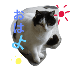 tama-tamachan