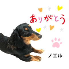 KAORI_20210609