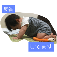 shun's