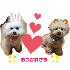 yuka_20210609161310