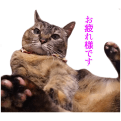 karinsun_20210609172614