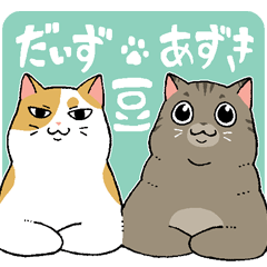 Bean cats Daizu & Azuki