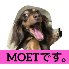 MOET