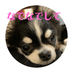 himawari_20210609164254