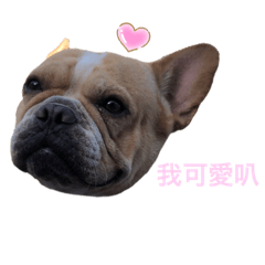 法鬥奶油的內心戲