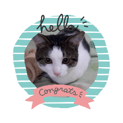 akiko_20210609084813