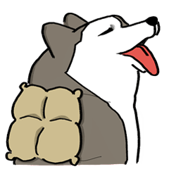 Konpui : Siberian Husky