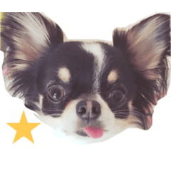 gomataro dayo!