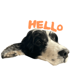 momoko_20210610063725