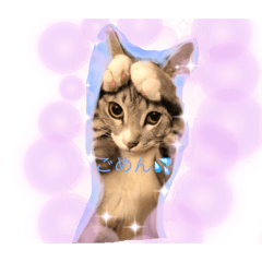 kaori_20210609193731