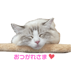 kaori_20210609211832