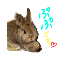 alice_20210609210857