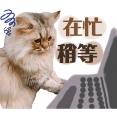 焦糖莫妮卡咖啡第一杯歡慶開幕啦！