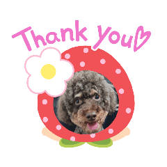 滷蛋の生活日常2