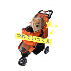 ohamaneko_20210609232314