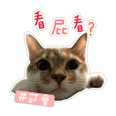 口愛小麻糬第一彈