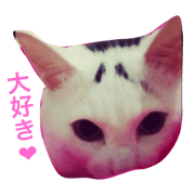 sorakun..