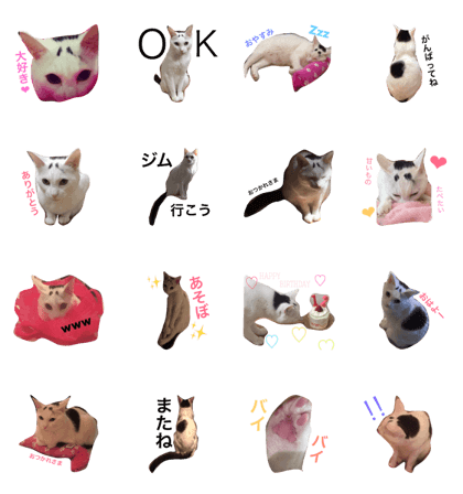 sorakun..