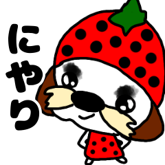 Shih Tzu no Mokuchan strawberry