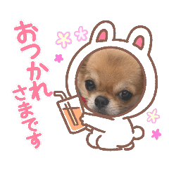 norimame_20210609160249