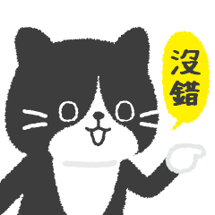 黑白貓小鐵