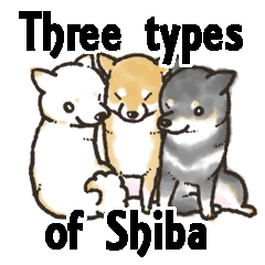 Three types of Shiba.english version