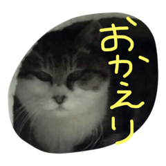 taitsu