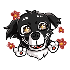 Various Facial Expressions Cute Cute Dog