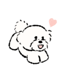 ビションフリーゼ 白くてふわふわの犬 Line スタンプ Line Store ビションフリーゼ 白くてふわふわの犬 Line スタンプ Line Store