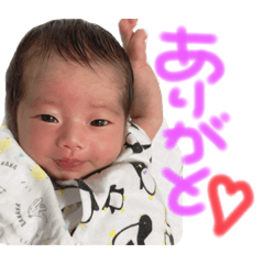 Ringo_20210610160832