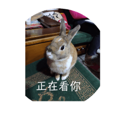 世界第一