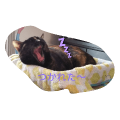 matsu_20210610165825