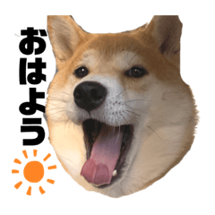 risa_20210610214955
