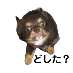 mizuki_20210610221223