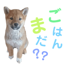 omoch_part2