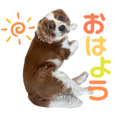 risa_20210611080652