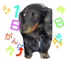 pHANAchan