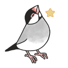 Java sparrow - sakura & white [ENG]
