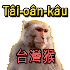 Taiwan Monkey talks in Taiwanese