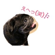 kuropug stanp 2