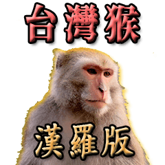 Taiwan Monkey talks in Taiwanese(Han-Lo)