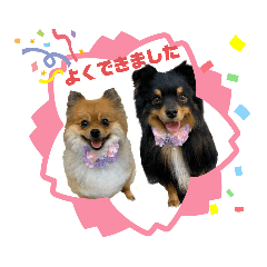 Hiro&Kuu