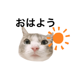 hikari_20210610221335