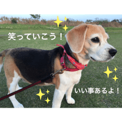 nanami_20210610232215