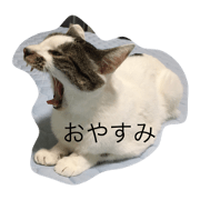 riko_20210610214038