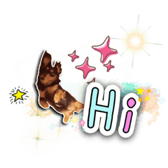 Miumiu來了1