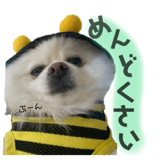aokyuuuri_20210610172607