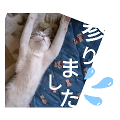 amechi_20210610173002