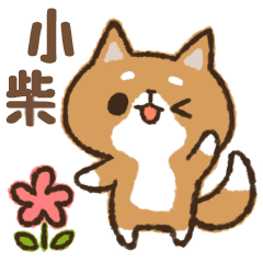 小柴日常貼圖
